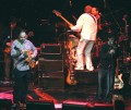 Thumbs/tn_IMG_9310_w.jpg