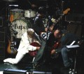 Thumbs/tn_IMG_9318_w.jpg